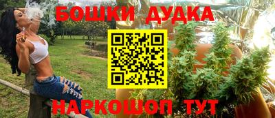 крисы Коммунар