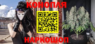 сатива Кимры