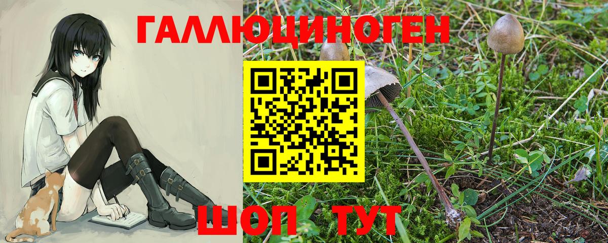 Дербент  Галлюциногенные грибы Magic Shrooms  Вход с VPN  Псилоцибиновые грибы мицелий 