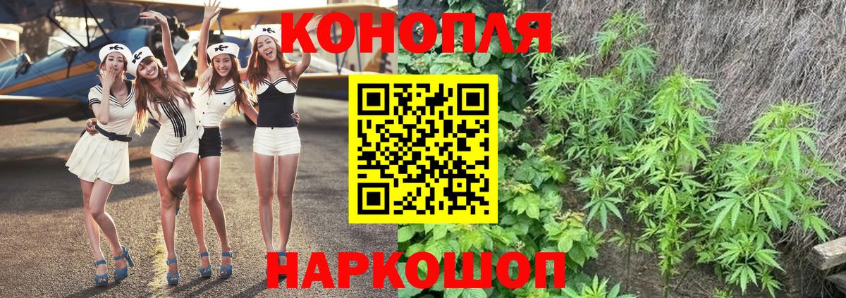 Бошки Шишки OG Kush Дербент